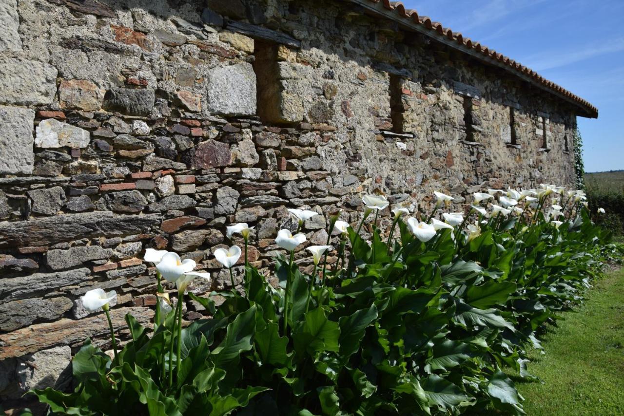 A La Haute Bouillere Bed and Breakfast Chavagnes-les-Redoux Eksteriør billede